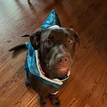 Stella Farmer-Thomas - @stellabella1018 - Instagram