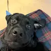 Stella - @stellafarmer - TikTok