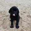 stellafarmer186 - @stellafarmer186 - TikTok