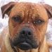Stella Ferrell - Facebook