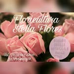 Floricultura Stella Flores - @stellafloresfloricultura - Instagram