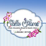 stella flores🌺🌺🌺🌺 - @pequenastella - Instagram
