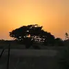 Stella Flores - @stellaflores01 - TikTok