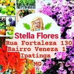 Stella Flores - @stella.flores.9 - Instagram
