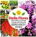 Stella Flores - Facebook
