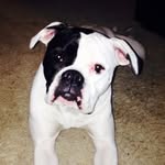 Stella Fowler - @stellabella8823 - Instagram