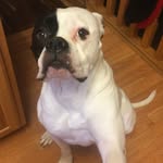 Stella Fowler - @stella___fowler - Instagram