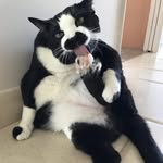 Stella Frank! - @stella_uyemura - Instagram