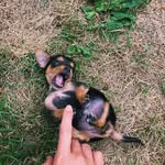 Stella Franklin - @stellafrank__ - Instagram