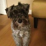 Stella Franks - @stellamary1914 - Instagram