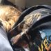Stella Franks - Facebook