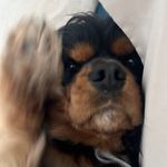 Stella Franks - @stella.hahaha.1 - Instagram