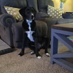 Stella - @stella.frey5 - Instagram