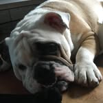 Stella Goodrich - @stellagoodrich - Instagram