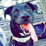 Stella Griffin - @thestellagriffin - Instagram