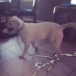 Stella Griffin - @griffin._.stella - Instagram