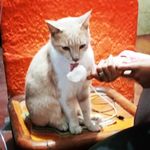 Stella Guzman - @stell.aguzman - Instagram