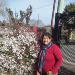 Stella Guzmán - Facebook