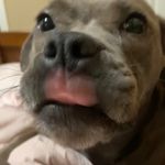 Stella Hebert - @notknown17.1 - Instagram