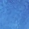 Fun times - @stellahecklover - TikTok