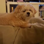 Stella Heck - @stankystella - Instagram
