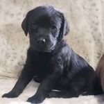 Stella Herron - @stella_herr0n - Instagram