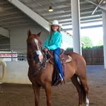 Mrs Stella Horse - @stella.horse2580 - Instagram