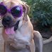 Stella Hood - Facebook