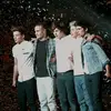 LP, ZM, NH, LT, HS - @stella_horan - TikTok