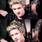 Niall ♥ - @stella_horan - Instagram