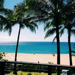 Stella Jarrette - @stellajarrette - Instagram