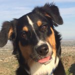 Stella Sue Jarrett - @stellaawesomeaussie - Instagram