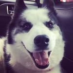 Stella Kay ❤️ DUKE n co's CFO - @stellamite - Instagram