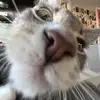 stellakeating46 - @stellakeating46 - TikTok
