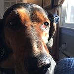 Stella Keller - @stellbert - Instagram