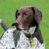 Stella Kemp897 - @stellakemp897 - TikTok