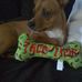 Stella Kempf - Facebook