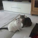 Stella Kempfle - @stellakempfle - Instagram