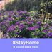 Stella Kirk - Facebook