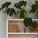 Stella - @stella_kirkk - Instagram
