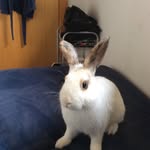 Osker_stellan_knudsen - @osker_official.dk - Instagram