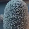 Stella Helene Hansen Knudsen - @stella.helene.han - TikTok