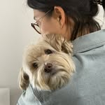 Stella Jawon Kwon - @stellakola - Instagram