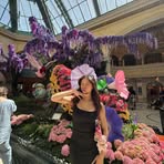 Stella Luong - Facebook