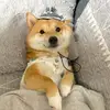 mageestella - @mageestella - TikTok