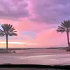 stella🙈 - @stella.manley - TikTok