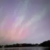 Stella Marks - @stella.marks6 - TikTok