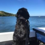 Stella McCallum - @stella.mccallum - Instagram