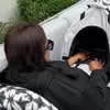 stella - @stellamccalll - TikTok