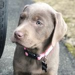 Stella McGrath - @stella_bluee22 - Instagram